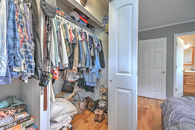 walk in closet featuring light hardwood / wood-style floors