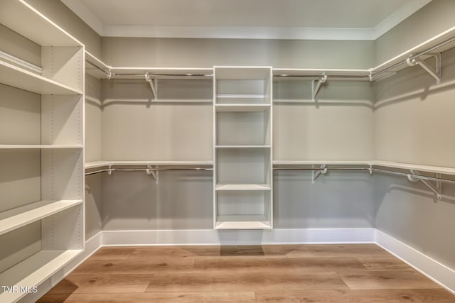 walk in closet with hardwood / wood-style flooring