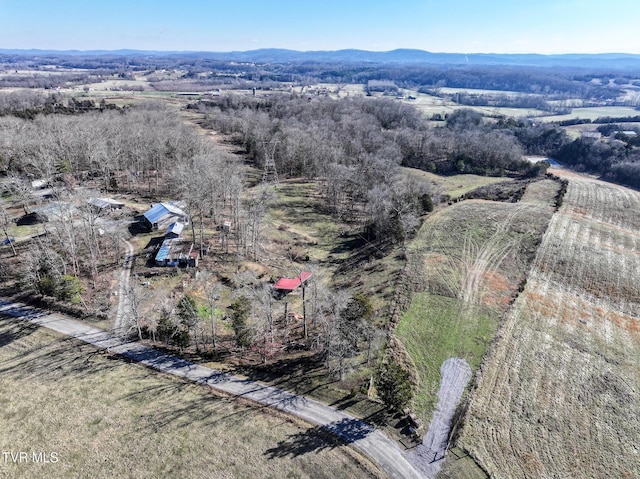 drone / aerial view with a mountain view