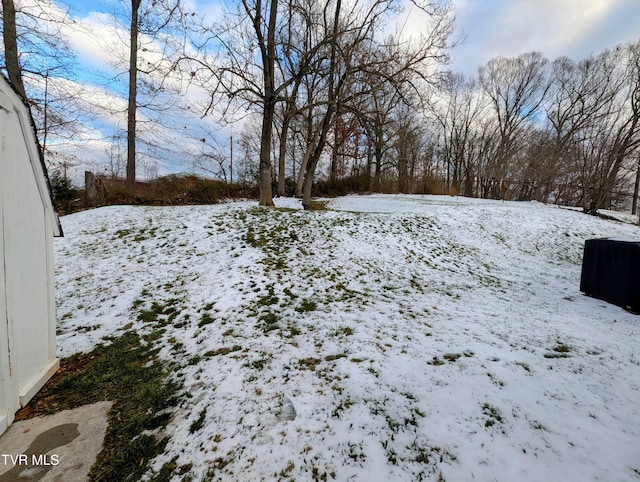 view of yard covered in snow