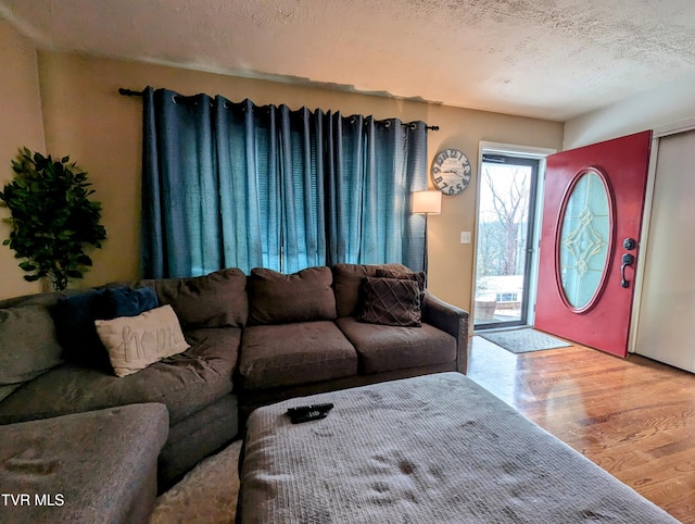 living room with a textured ceiling and wood-type flooring