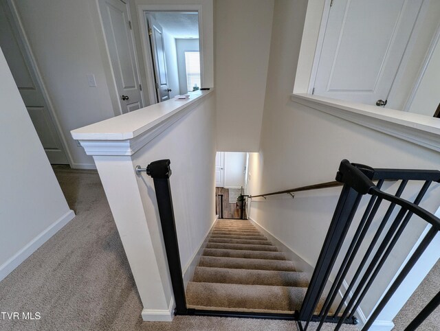 stairway with carpet floors