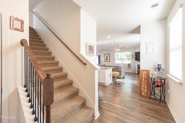 stairs featuring ceiling fan and hardwood / wood-style flooring