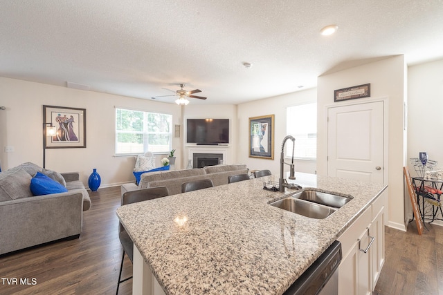 kitchen with sink, light stone counters, a textured ceiling, a kitchen island with sink, and white cabinets