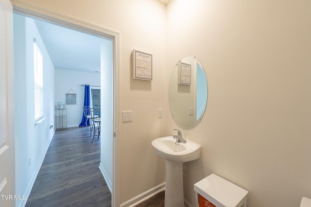 bathroom with sink and wood-type flooring