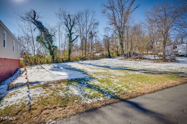 view of yard covered in snow