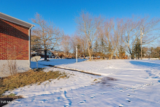 view of yard layered in snow