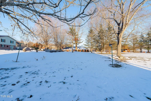 view of yard covered in snow