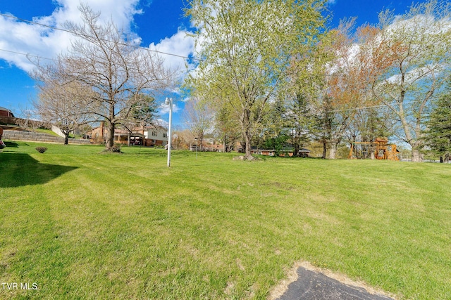 view of yard
