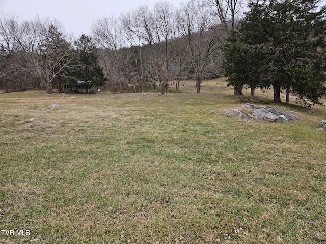 8167 Asheville Hwy, Greeneville TN, 37743 land for sale