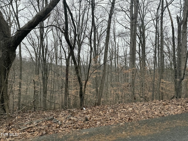 Listing photo 3 for TBDLOT4 Skyline Dr, Bristol TN 37620