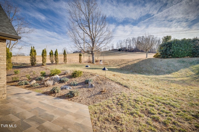 view of yard featuring a patio area