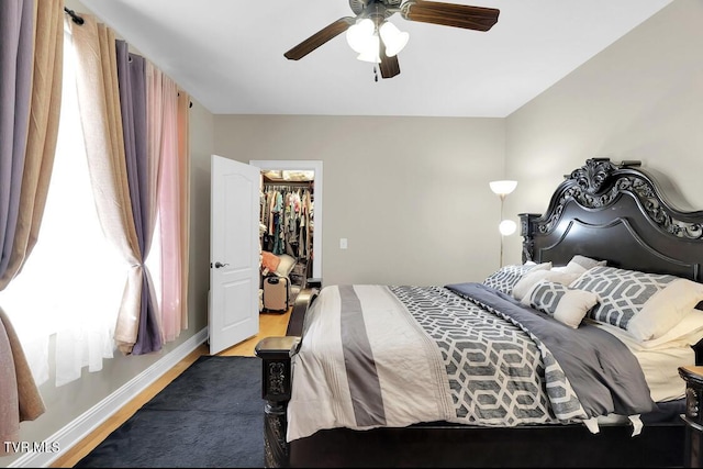 bedroom with a walk in closet, ceiling fan, a closet, and hardwood / wood-style flooring