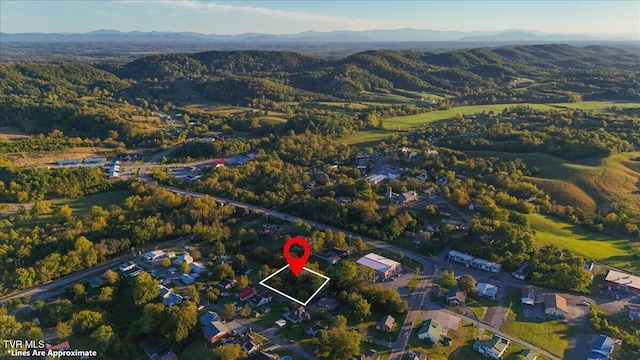 114 Quillen Ave, Bulls Gap TN, 37711 land for sale