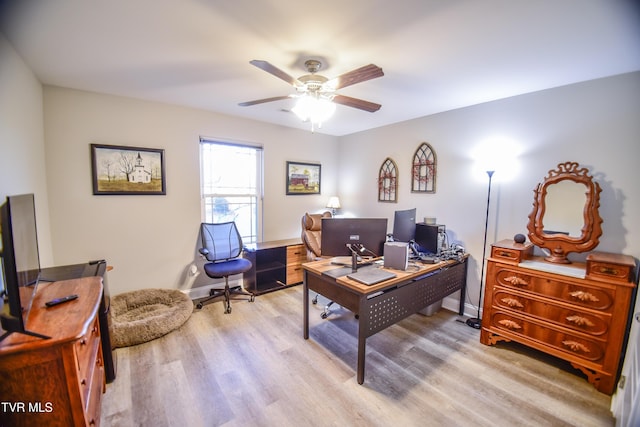 office space featuring ceiling fan and light hardwood / wood-style flooring