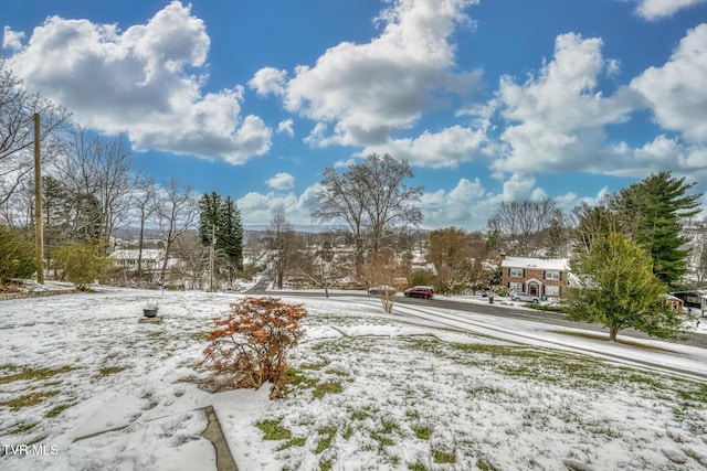 view of snowy yard