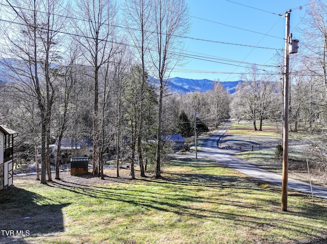 view of yard featuring a mountain view