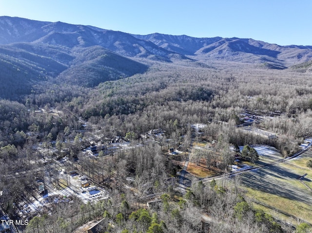 property view of mountains