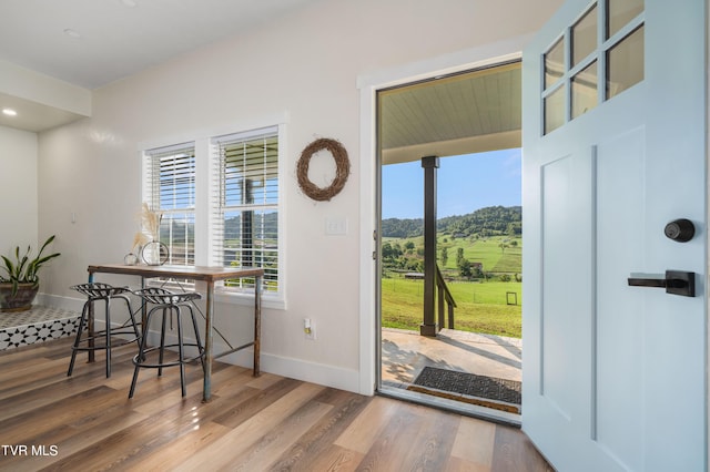 entryway with hardwood / wood-style flooring