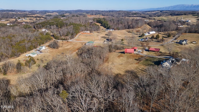 bird's eye view featuring a rural view and a forest view