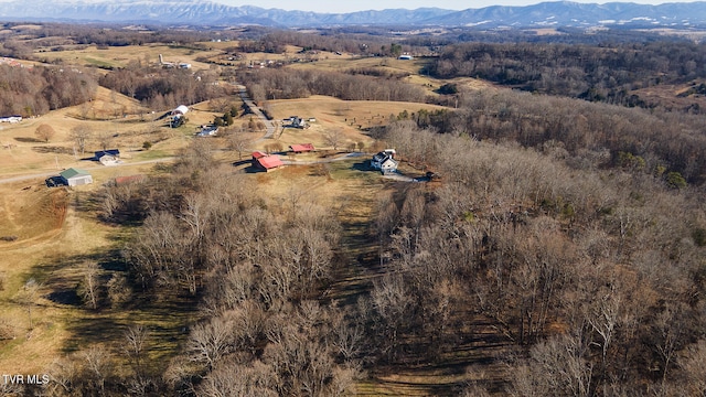 birds eye view of property featuring a mountain view