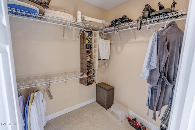 spacious closet featuring carpet flooring