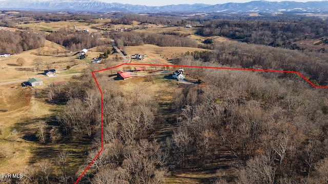 drone / aerial view featuring a mountain view