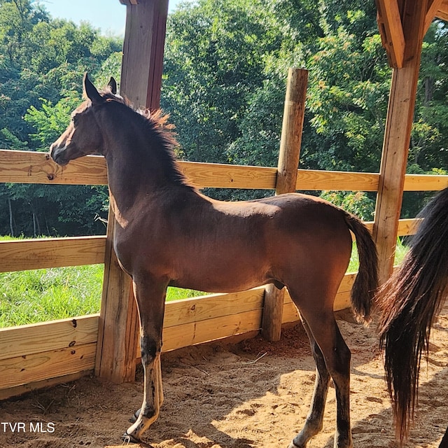 view of horse barn with a forest view