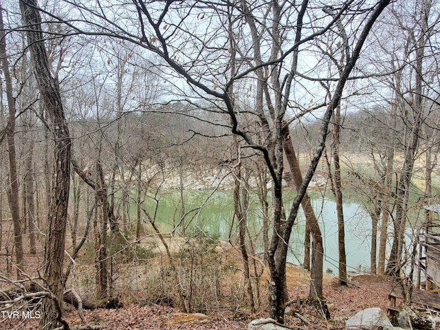 view of water feature featuring a view of trees