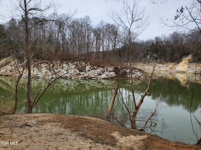 water view featuring a view of trees