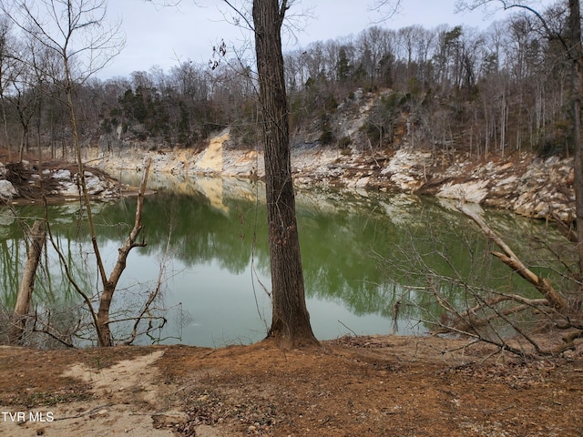 view of water feature featuring a view of trees