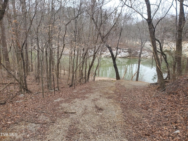 view of water feature with a wooded view