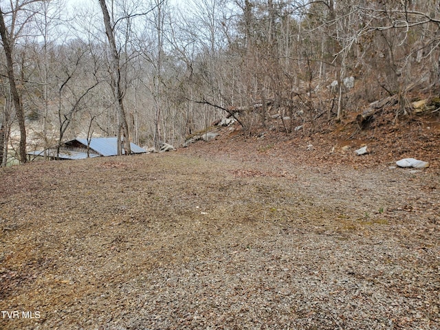 view of yard with a view of trees