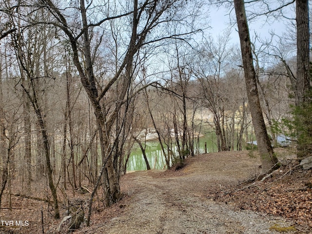 view of nature featuring a forest view