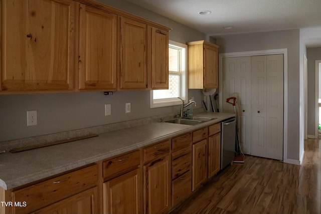 kitchen with stainless steel dishwasher, sink, and dark wood-type flooring