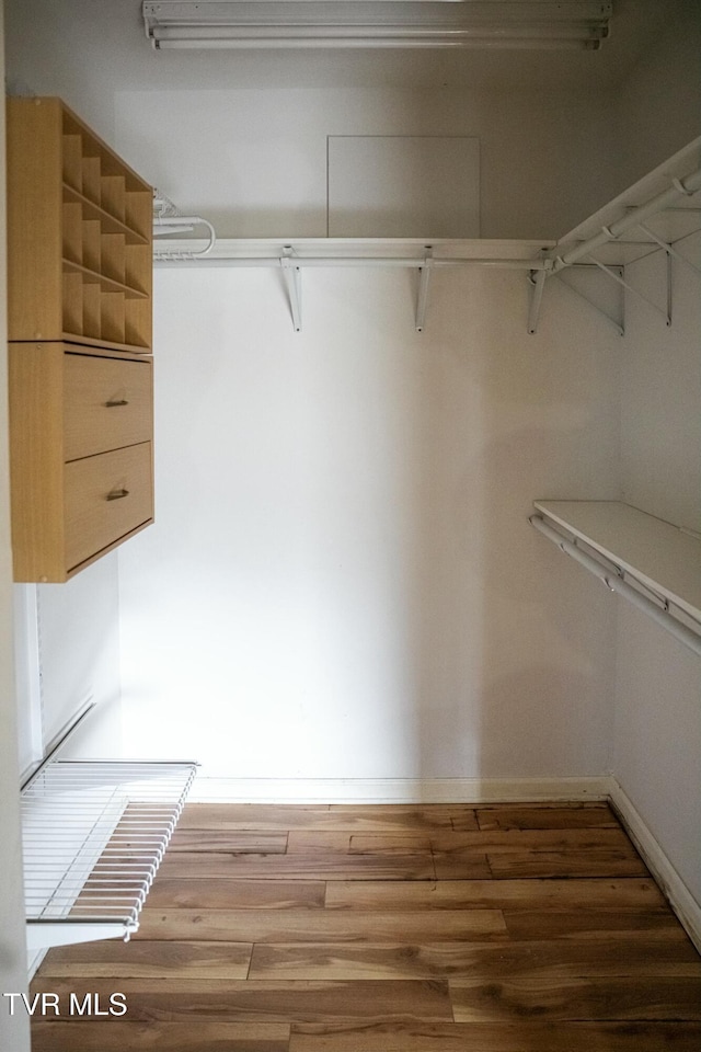 spacious closet with hardwood / wood-style flooring