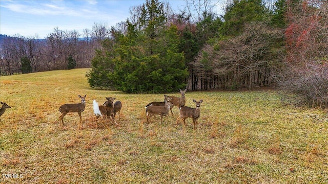 Listing photo 2 for TBD Gap Creek Rd, Elizabethton TN 37643