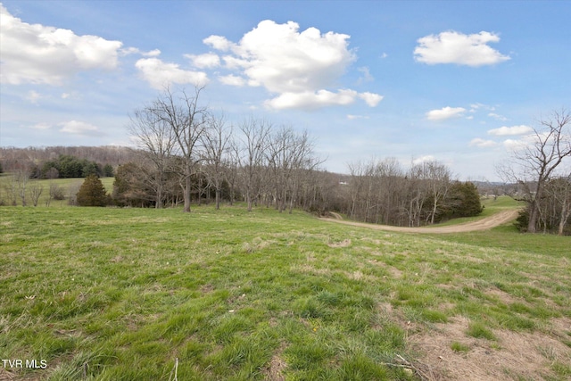 Tbd Highway 75, Blountville TN, 37617 land for sale