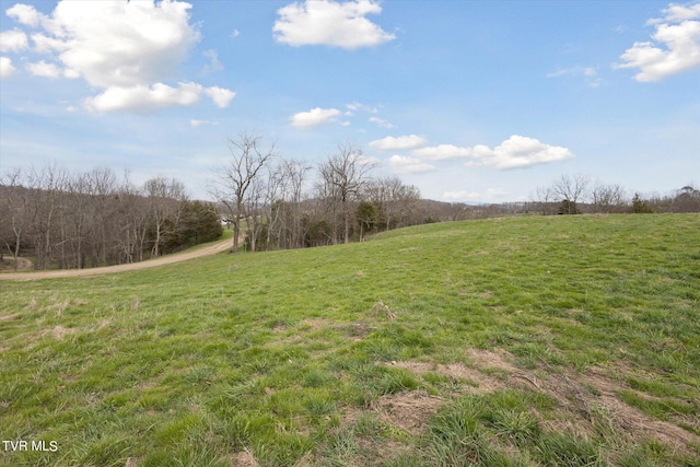 Listing photo 3 for Tbd Highway 75, Blountville TN 37617