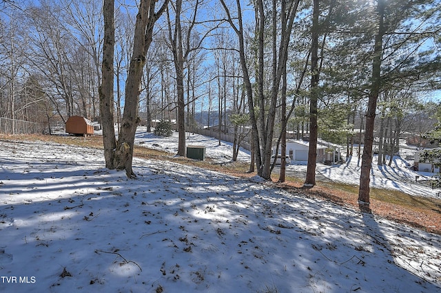 view of yard covered in snow