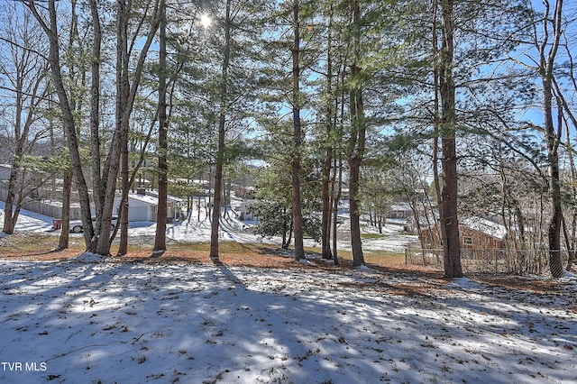 view of yard layered in snow