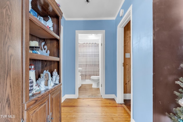 corridor with crown molding and light hardwood / wood-style flooring