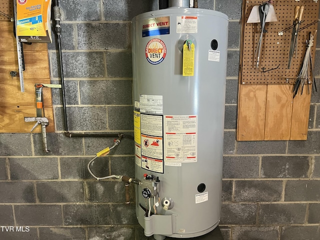 utility room with gas water heater