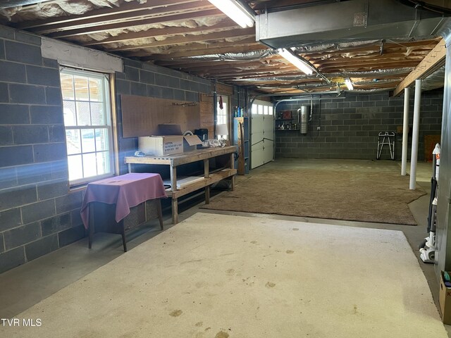 basement with concrete block wall