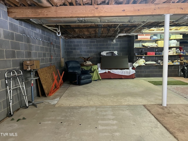 unfinished basement featuring concrete block wall