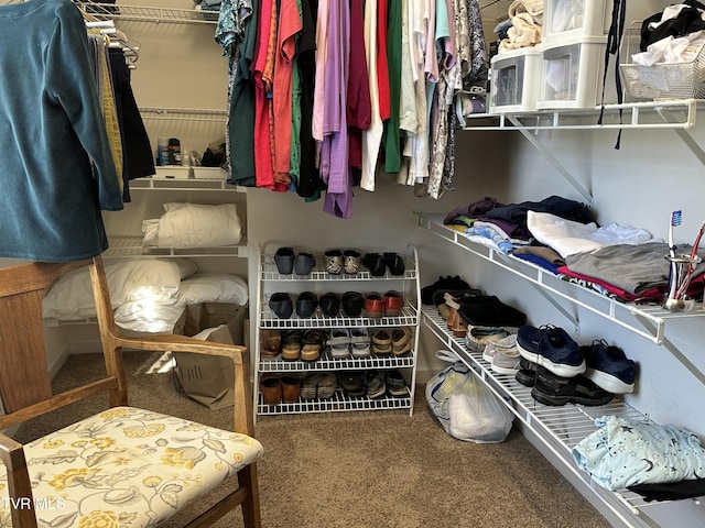 walk in closet featuring carpet flooring