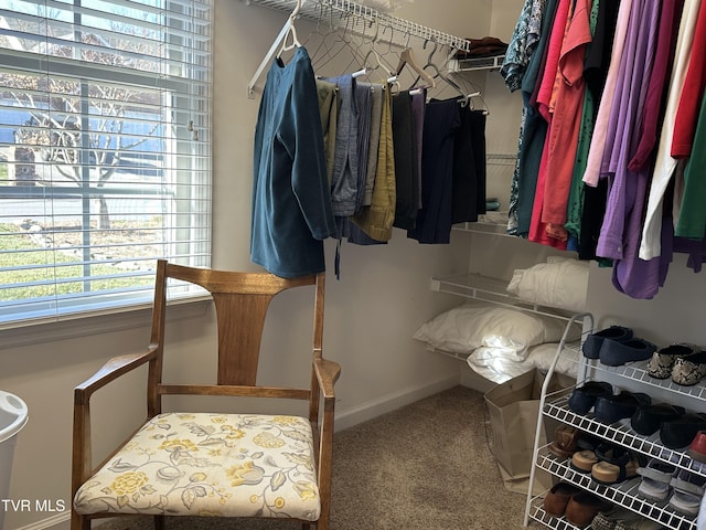 spacious closet featuring carpet floors