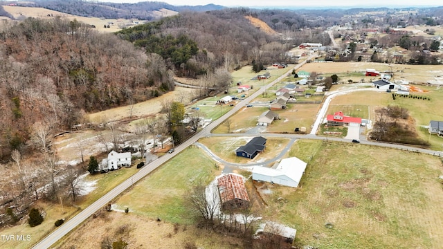 aerial view