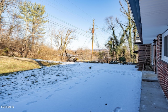 view of yard layered in snow