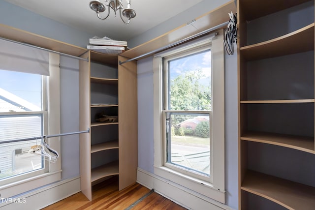 walk in closet with hardwood / wood-style floors and a notable chandelier